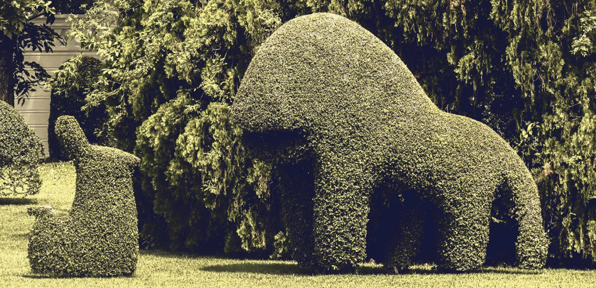 Outdoor foliage in the shape of animals