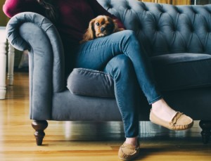 A woman and her dog sit on a used couch