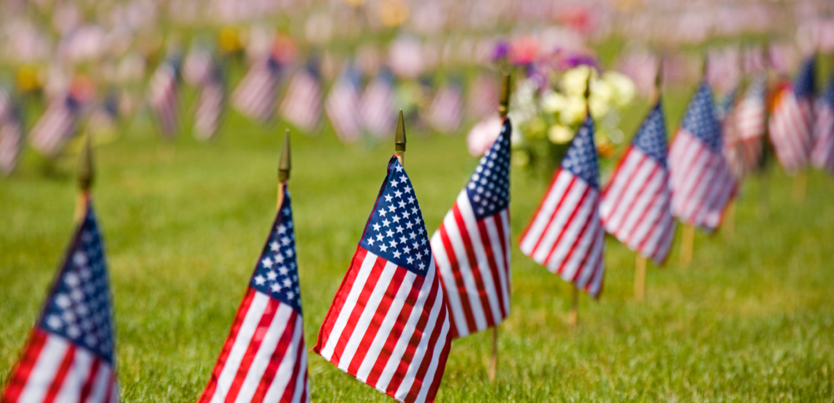 Flags in ground for Memorial Day