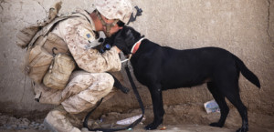 Soldier and Black Dog Cuddling