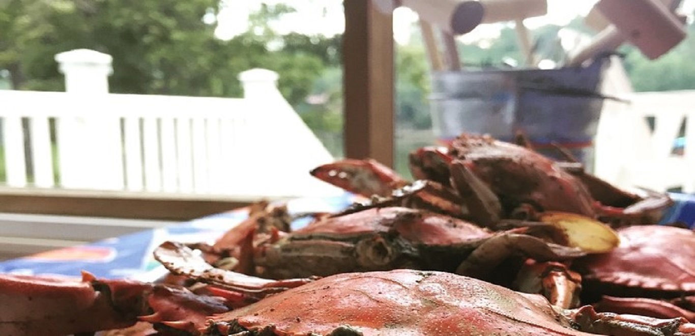 Blue crab piled on a table with a pail full of seafood mallets in the background