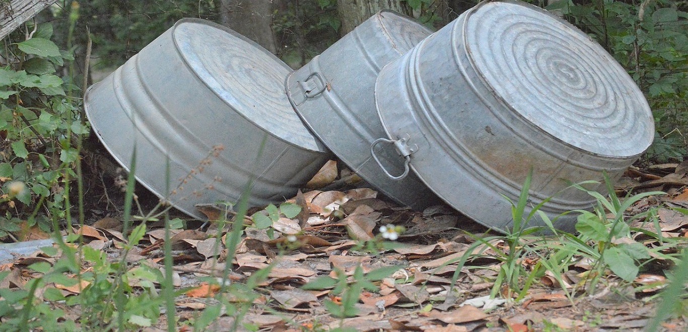 Three old galvanized tubs next to a tree