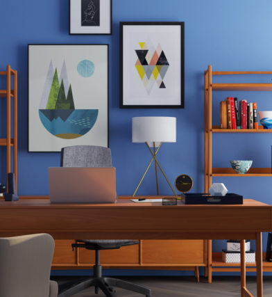 Shelves, plants, books, artwork, and other items in a blue home office