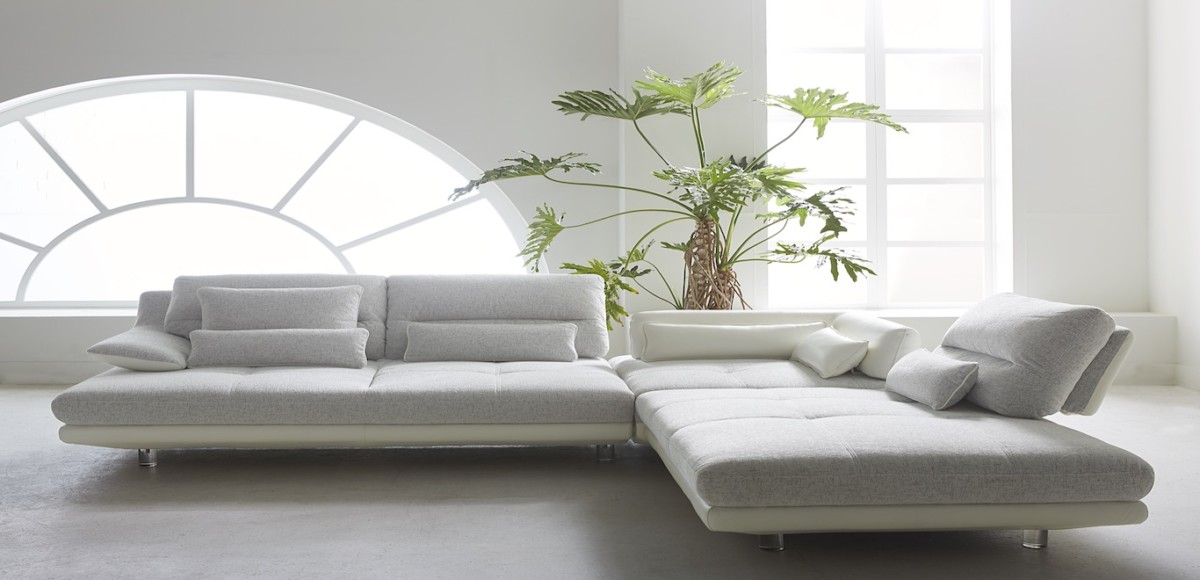 White sectional couch in front of semi circle window with plant