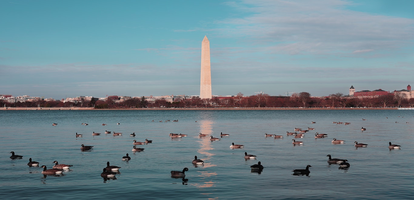 View of Washington monument in Washington D.C.