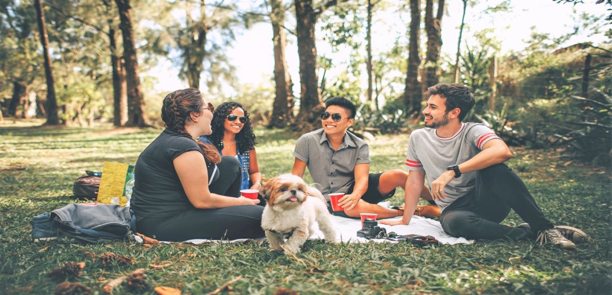 A group of friends and a puppy sitting in the park on a blanket surrounded by green trees and grass