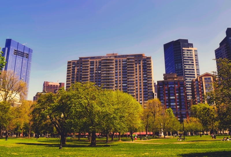 Park with tall city buildings in the background and blue sky