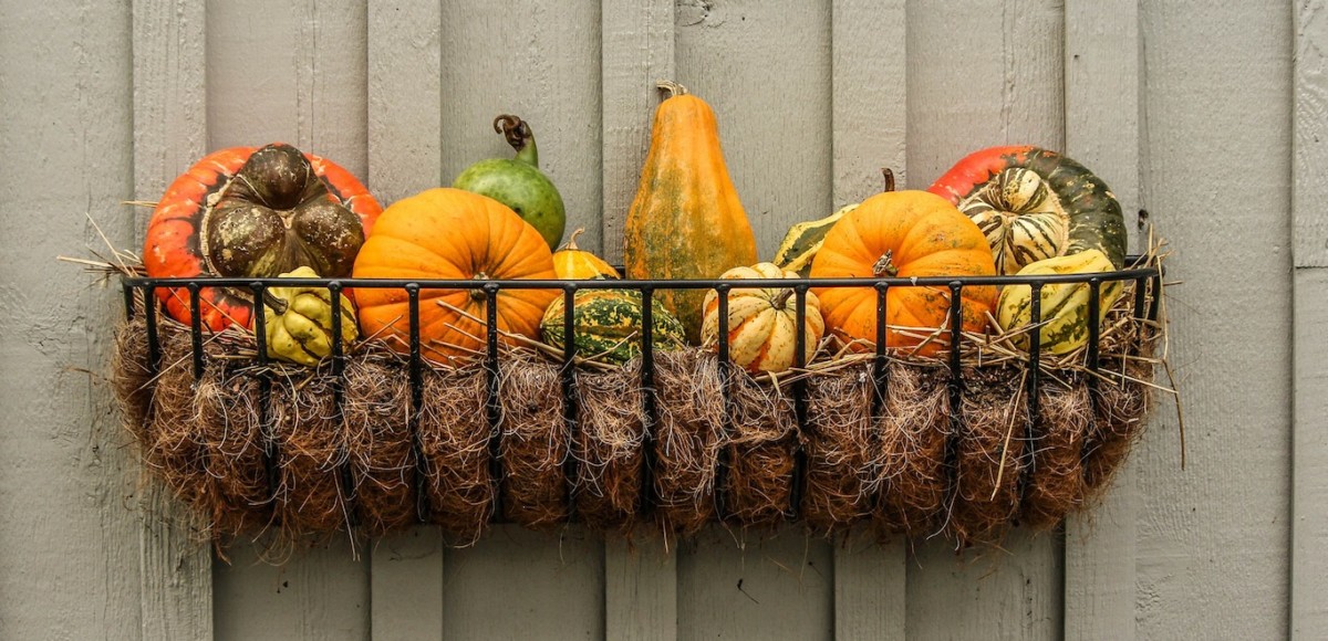 Wire basket filled with colorful gourds, mini pumpkins, and squash hangs on an exterior wall