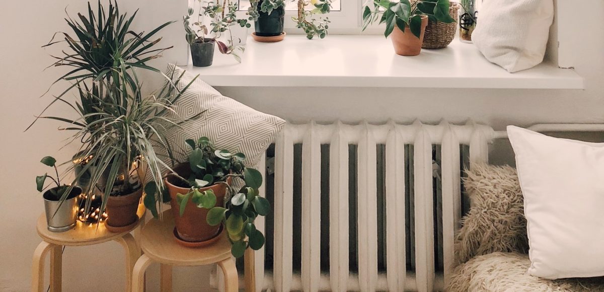Sunny bay window with white radiator beneath it and multiple plants on wooden stools