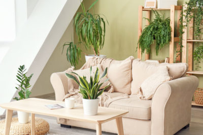 Natural home decor and natural interior design in a modern living room with light woods, a light neutral couch, and greenery.
