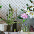 Cottagecore room inspo plants and decor with cottagecore inspired florals.