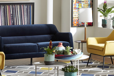 CORT Furniture Rental Avant Basic decor modern living room decor colorful home decor