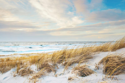 beach coast to get you inspired for a coastal grandmother aesthetic with white sand, golden grasses, a calm sea, and blue sky with white clouds