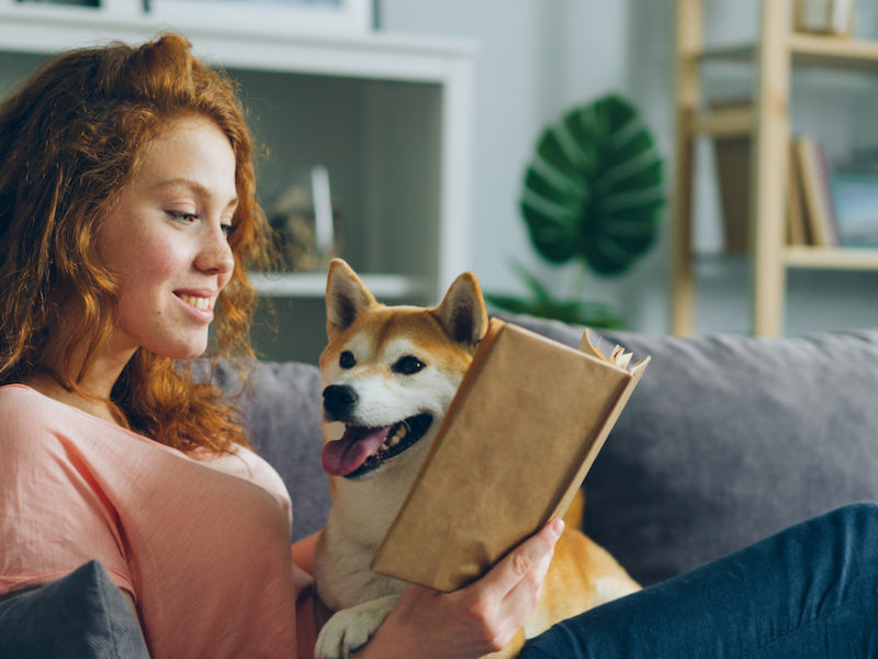 Pretty student young woman is reading book in cozy apartment smiling and petting adorable dog sitting on comfy couch at home. Animals and hobby concept.
