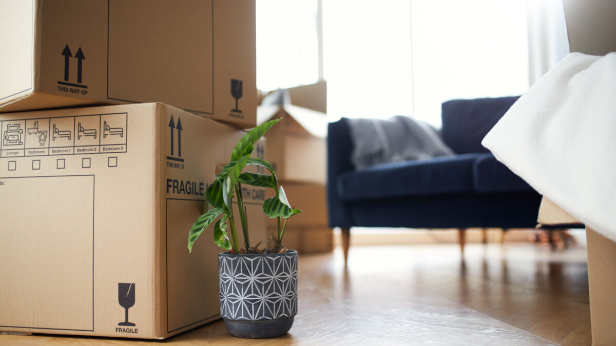 Navigating the stress of moving