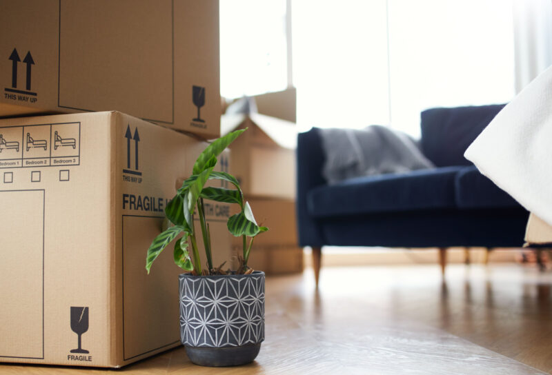 Navigating the stress of moving