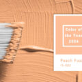 A paintbrush with Pantone's Color of the Year, Peach Fuzz.