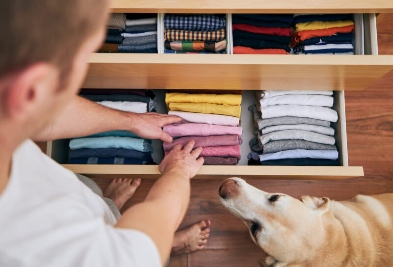 A person folding their clothes neatly in an organized drawer while a dog watches.