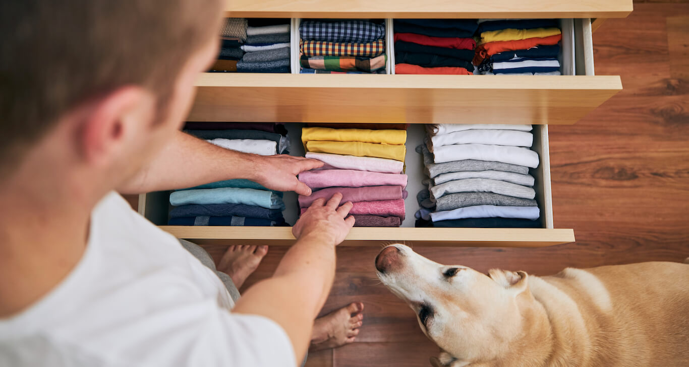 A person folding their clothes neatly in an organized drawer while a dog watches.